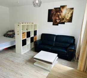 Très agréable studio à Villeurbanne